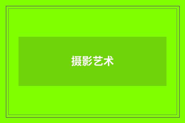 摄影艺术