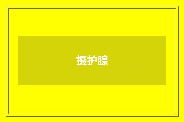 摄护腺