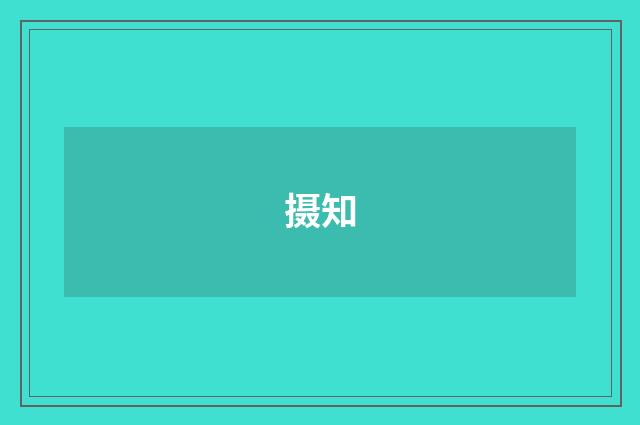摄知