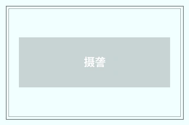 摄詟