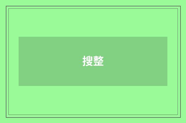 搜整