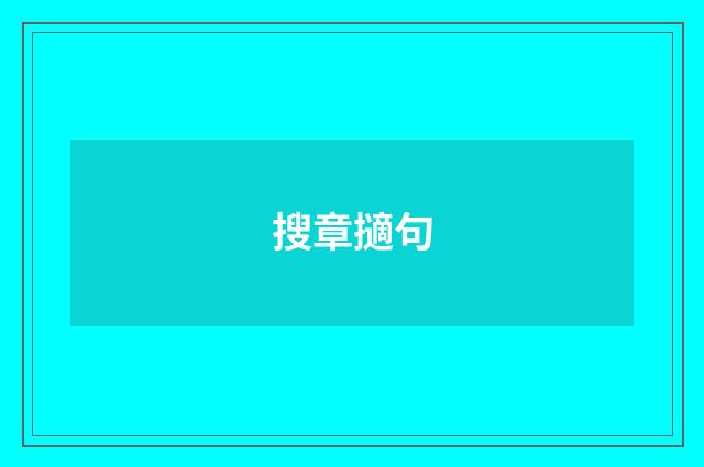 搜章擿句