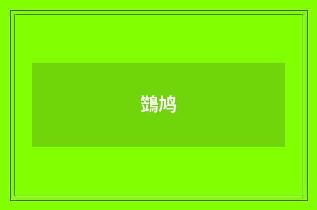 鷑鸠