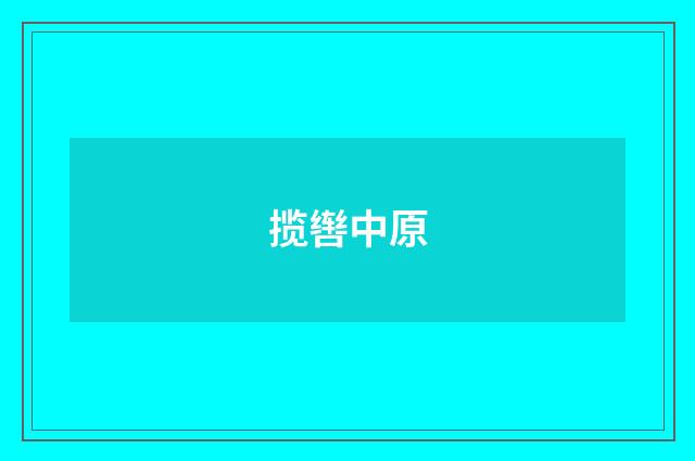 揽辔中原