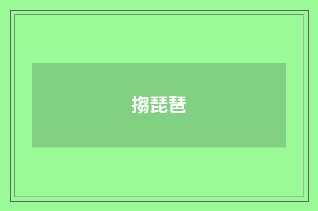 搊琵琶