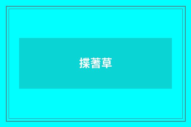 揲蓍草