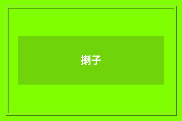 揦子