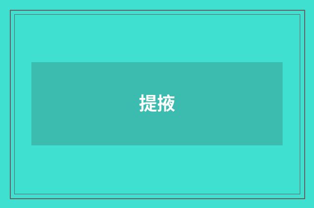 提掖