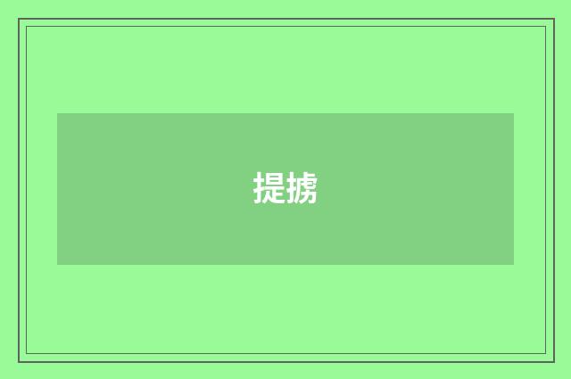 提掳