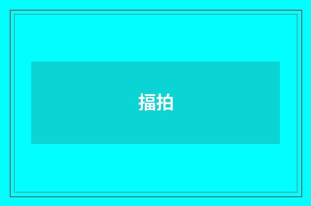 揊拍