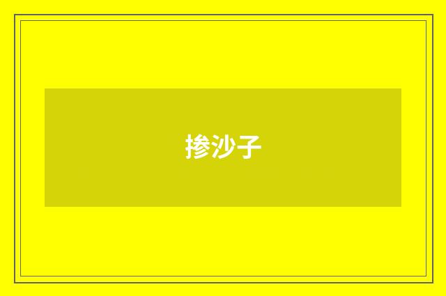 掺沙子