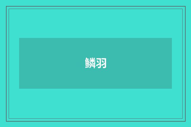 鳞羽