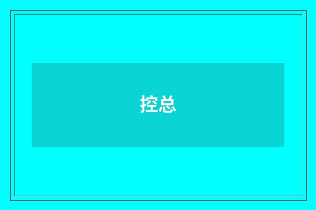 控总