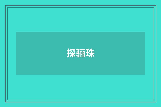 探骊珠