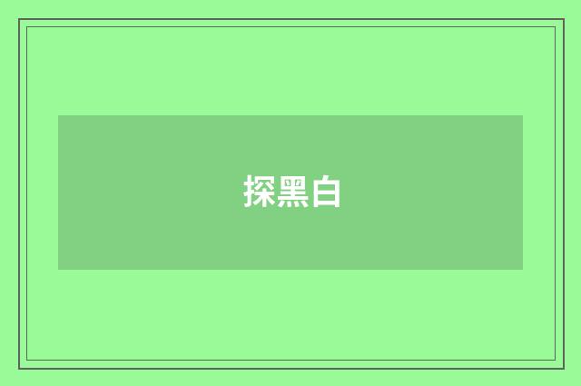 探黑白