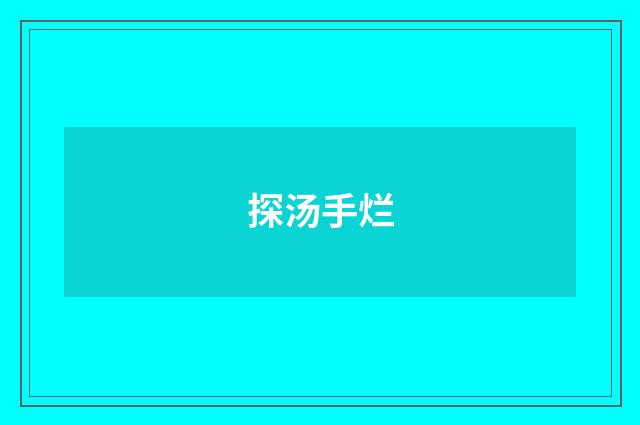 探汤手烂