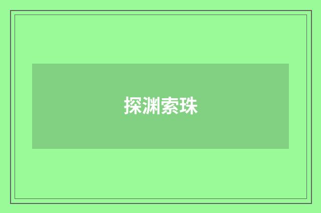 探渊索珠