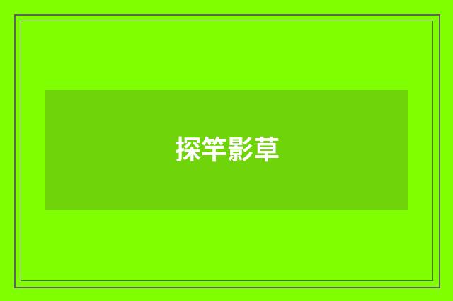 探竿影草