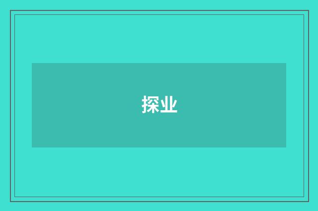 探业