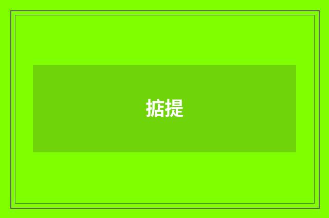 掂提