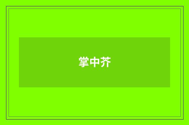 掌中芥
