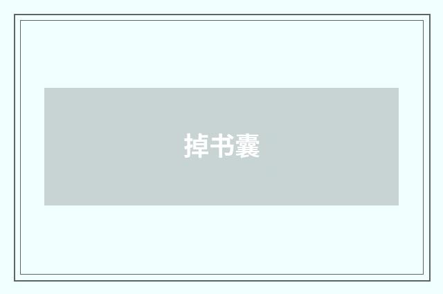 掉书囊