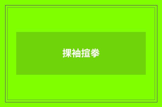 捰袖揎拳
