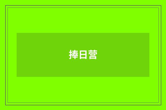 捧日营