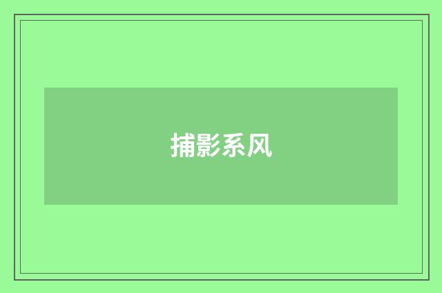 捕影系风