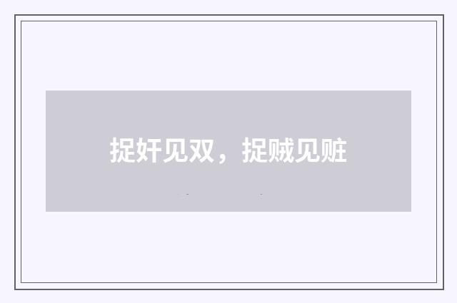 捉奸见双，捉贼见赃