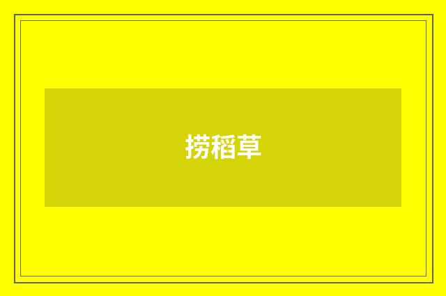 捞稻草