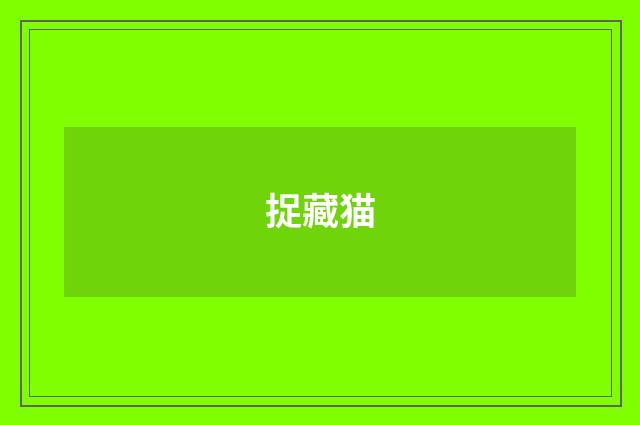 捉藏猫