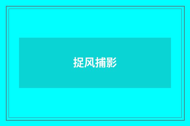 捉风捕影