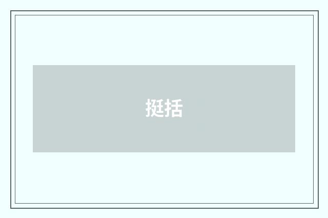 挺括