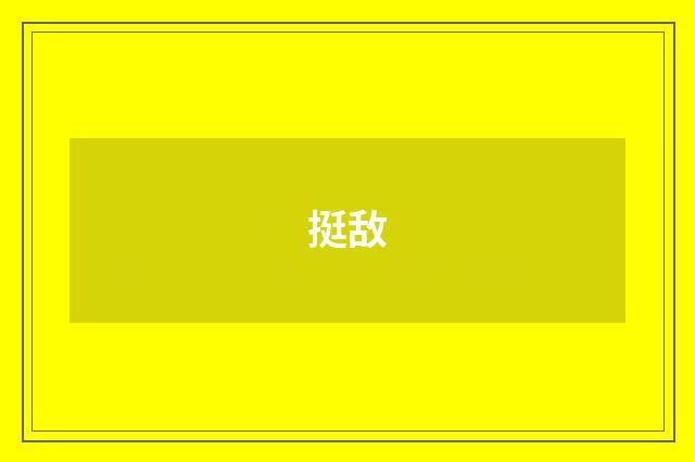挺敌