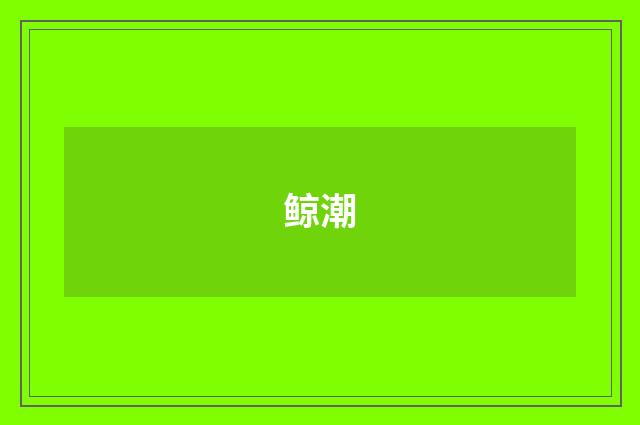 鲸潮