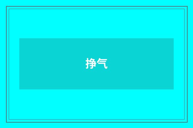 挣气