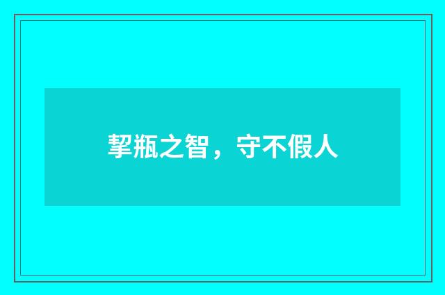 挈瓶之智，守不假人