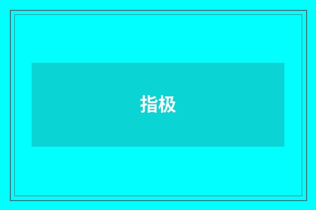 指极