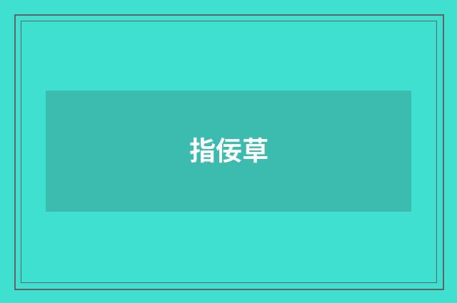 指佞草