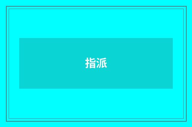 指派