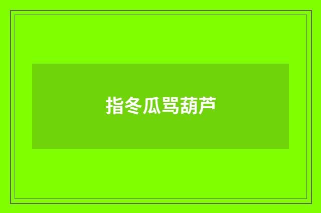 指冬瓜骂葫芦