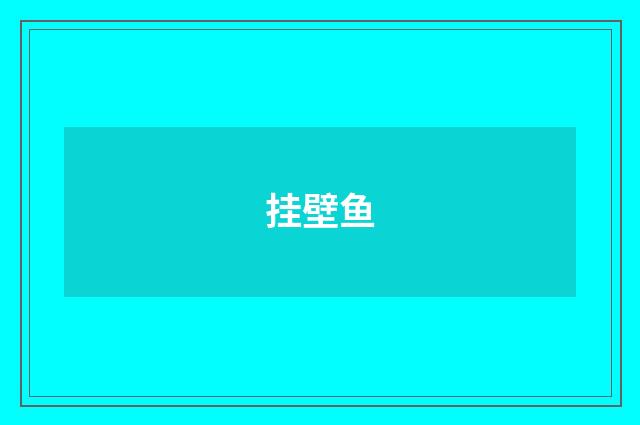 挂壁鱼