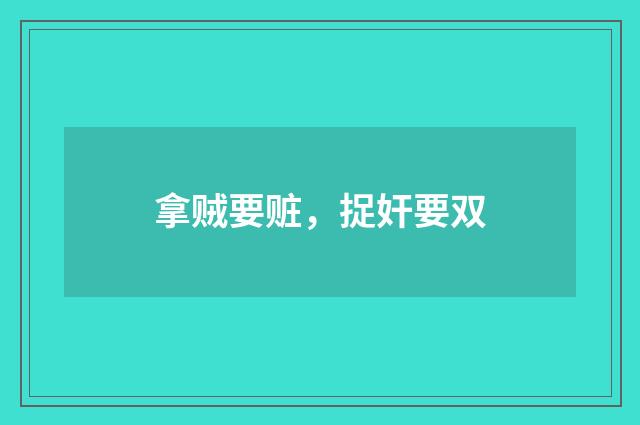 拿贼要赃，捉奸要双