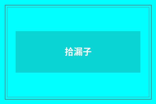 拾漏子