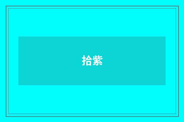 拾紫