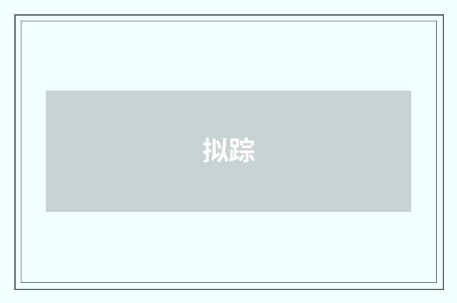 拟踪