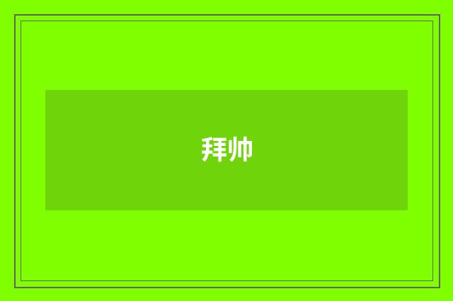 拜帅