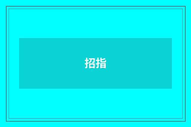 招指