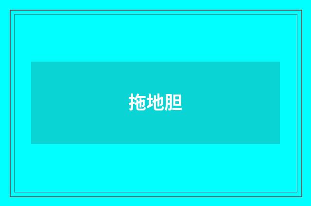 拖地胆
